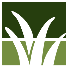 San Ramon Lawn Clean Up