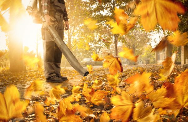 Leaf Blowing Service in San Ramon