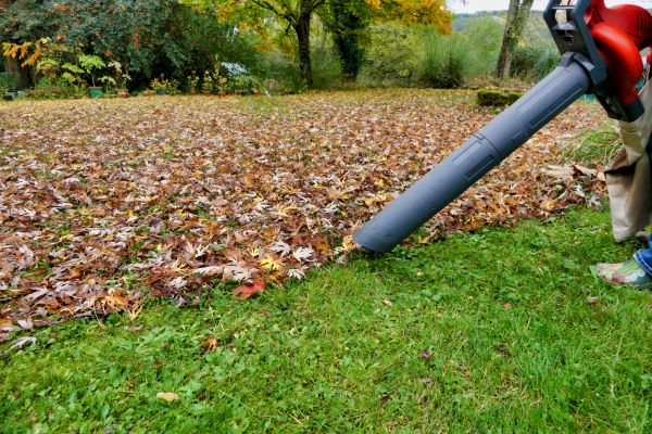 Leaf Vacuuming Service in San Ramon