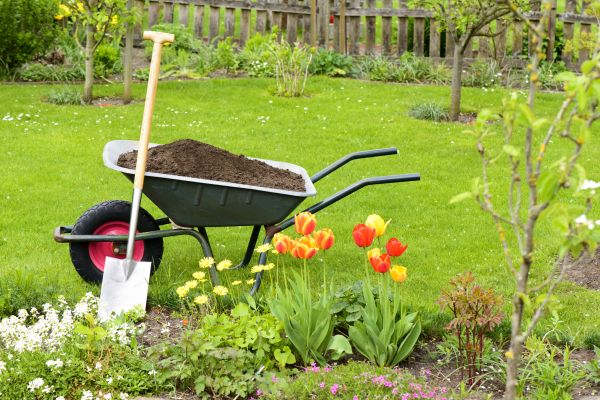 Spring Yard Cleanup in San Ramon