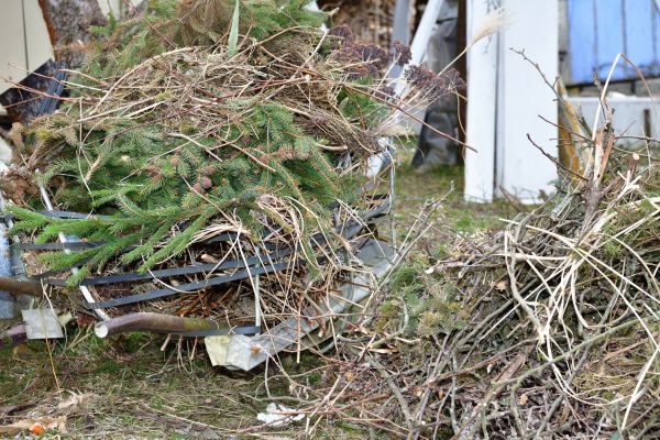Yard Waste Removal Service in San Ramon