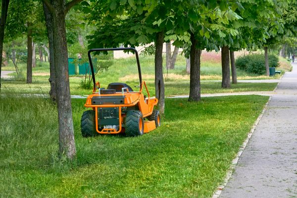 Landscaping Cleanup Service in San Ramon
