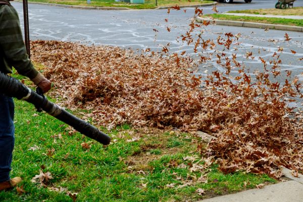 Garden Leaf Removal in San Ramon