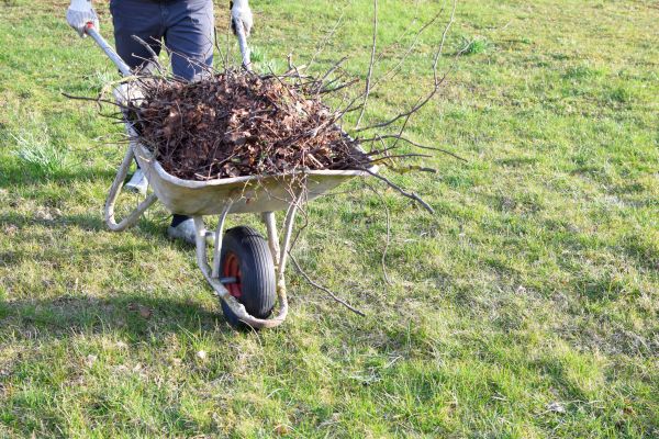 Yard Brush Removal in San Ramon