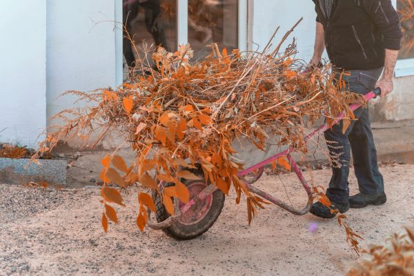 Cost of Lawn Debris Cleanup in San Ramon