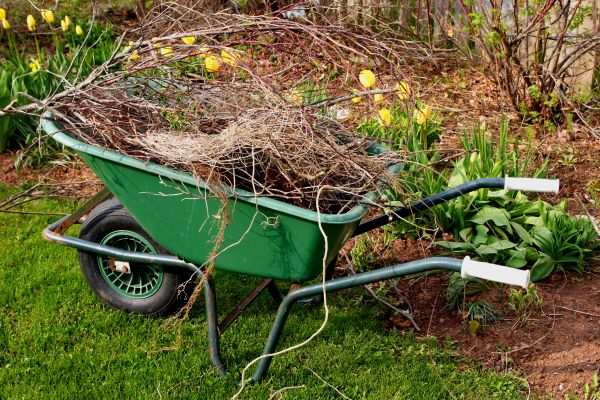 Lawn Waste Removal in San Ramon