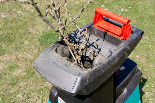Cost of Brush Cleanup Service in San Ramon