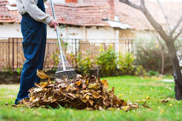 Fall Yard Cleanup Service in San Ramon