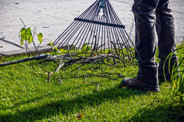 Yard Debris Cleanup in San Ramon