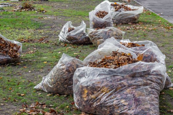 Leaf Pile Disposal in San Ramon