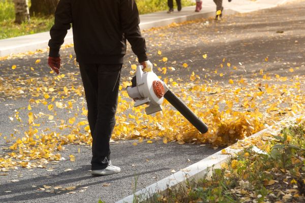 Commercial Leaf Removal in San Ramon