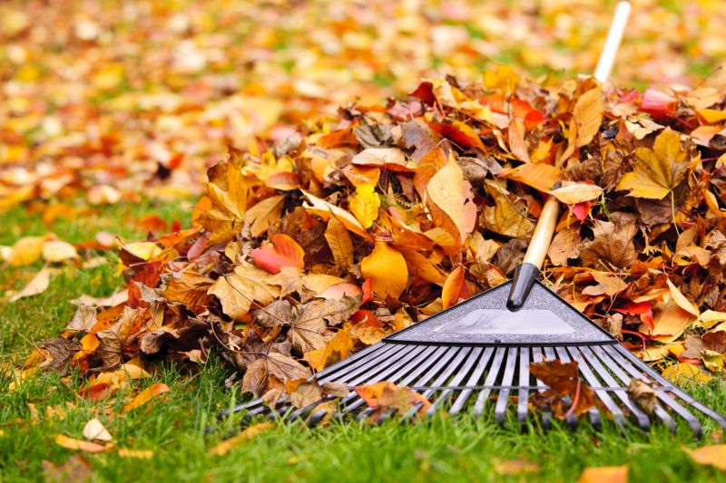 Benefit of Regular Leaf Clearing