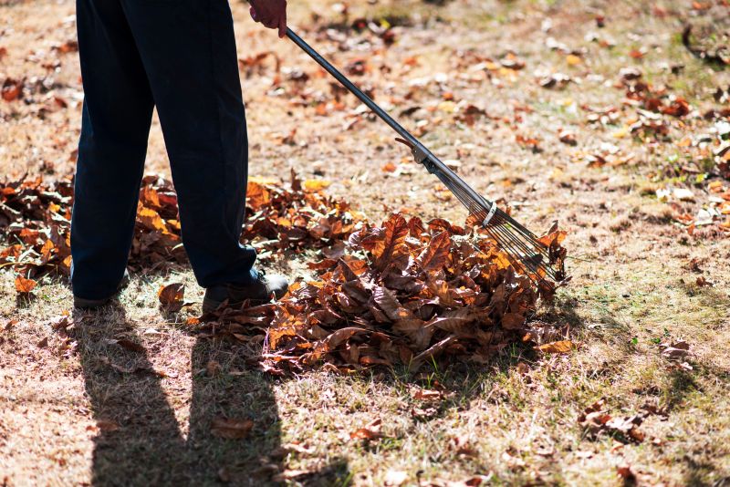 Leaves Raking